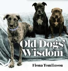 Old Dog Wisdom