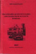 Organizarea eficientizarea asigurarilor bunuri Romania