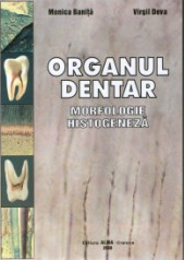 Organul dentar. Morfologie, histogeneza