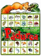 Padurea (plansa mea activitati)