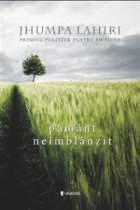 Pamant neimblanzit