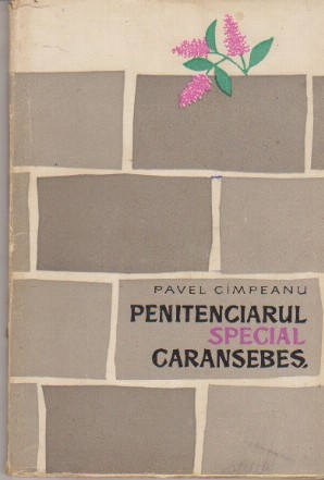 Penitenciarul Special Caransebes