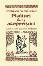 Picaturi de pe acoperisuri - Capitole de cugetare teologica