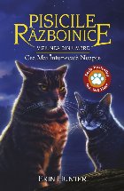 Pisicile Razboinice Cartea XXXIV Viziunea