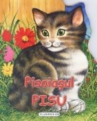 Pisoiasul Pisu - pliant cartonat