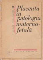 Placenta patologia materno fetala