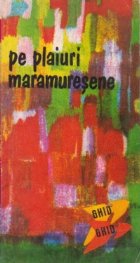 plaiuri maramuresene