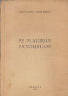 plaiurile pandurilor