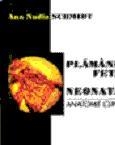 Plamanul Fetal si Neonatal