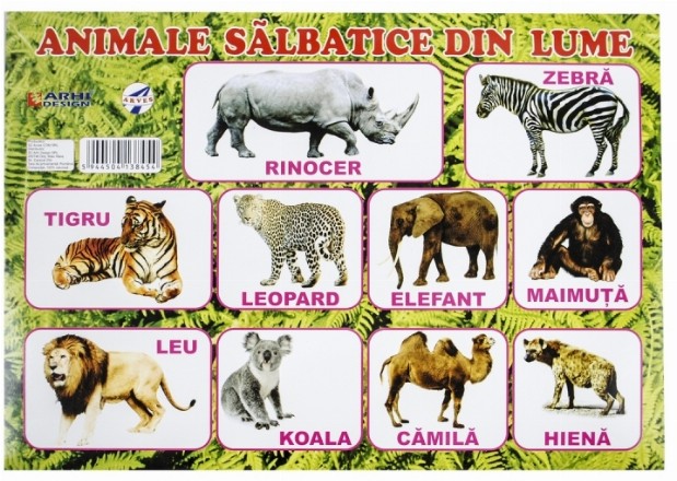 Plansa Animale salbatice din lume A4