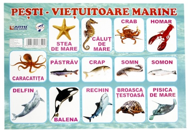 Plansa Pesti, Vietuitoare marine A4