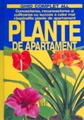 PLANTE DE APARTAMENT