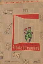 Plante de camera