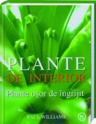 Plante de interior - Plante usor de ingrijit