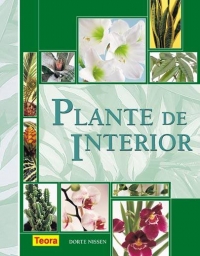 Plante de interior