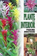 Plante de interior