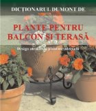 PLANTE PENTRU BALCON SI TERASE