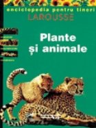 Plante animale