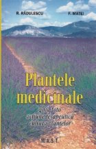 Plantele medicinale (ghid foto, actiune terapeutica, cultura plantelor)