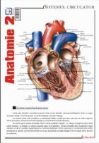 Pliant Anatomie 2