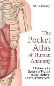 Pocket Atlas of Human Anatomy