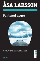 Pontonul negru