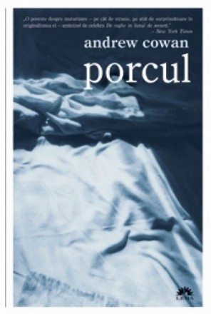 Porcul