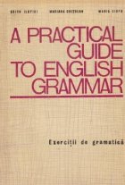 practical guide english grammar Exercitii