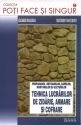 Prepararea betoanelor, sapelor, mortarelor si gleturilor - Tehnica lucrarilor de zidarie, armare si cofrare