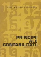 Principii ale contabilitatii