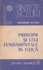 Principii legi fundamentale fizica