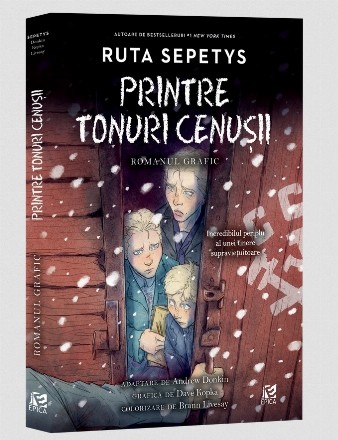 Printre tonuri cenuşii : romanul grafic