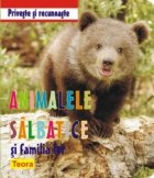 Priveste recunoaste animalele salbatice familia