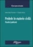 Probele in materie civila - practica judiciara