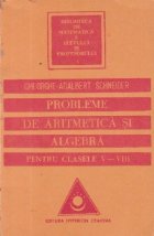 Probleme de aritmetica si algebra pentru clasele V-VIII