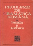 Probleme gramatica romana intrebari raspunsuri