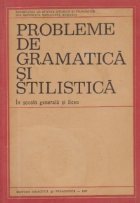 Probleme gramatica stilistica scoala generala