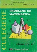 Probleme matematica Clasa
