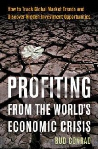 Profiting From The Worlds Economic Crisis - Finding investment opportunities by tracking global market trends