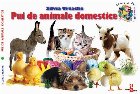 Pui animale domestice