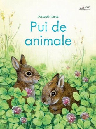 Pui de animale (Usborne)