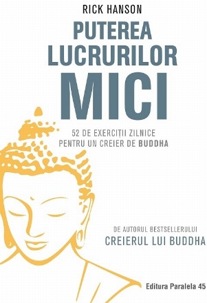 Puterea lucrurilor mici. 52 de exercitii zilnice pentru un creier de Buddha