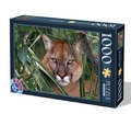 Puzzle Adulti 1000 piese -  Animale salbatice