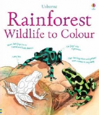 Rainforest Wildlife To Colour