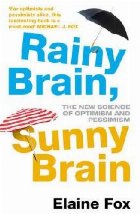 Rainy Brain Sunny Brain