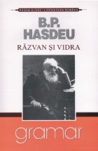 Razvan Vidra