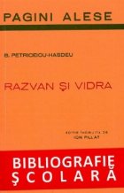 Razvan Vidra