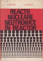 Reactii nucleare neutronice reactor