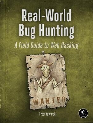 Real-world Bug Hunting