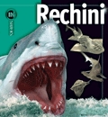 Rechini